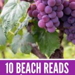 Choose one of these wonderful beach reads that are set in wine country for your next vacation in 2019. These are great books to bring on vacation to a wine tasting, where you can really connect with the scenery. Romance book or not, your summer will love these book ideas. #books #beachreads #vacation #travel