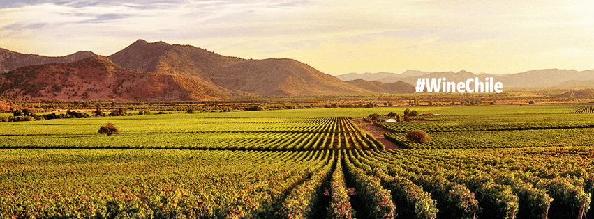 Colchagua Valley, Chile