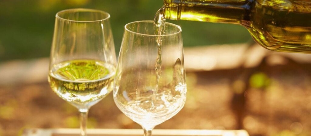 Six White Wine Grapes That You May Never Have Heard of But Definitely Need to Try!
