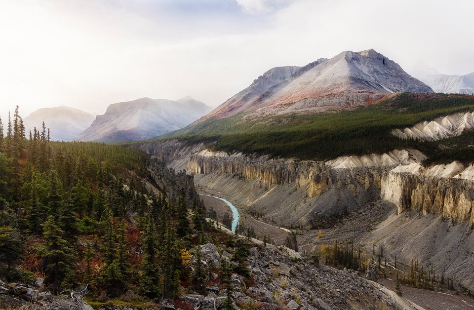 Inkaneep Provincial Park for Camping in Canadian Wine Country