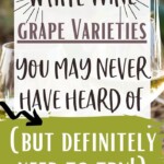 Six White Wine Grapes You Have To Try | White Wine | Never Heard Of Wines | White Wine Grapes #WhiteWines #WhiteWineGrapes #WhiteWinesYouHaveToTry #NeverHeardOfWines