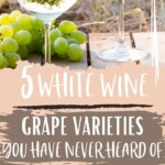 Six White Wine Grapes You Have To Try | White Wine | Never Heard Of Wines | White Wine Grapes #WhiteWines #WhiteWineGrapes #WhiteWinesYouHaveToTry #NeverHeardOfWines