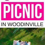 Places to Have a Picnic in Woodinville| Picnic and Wine in Woodinville| Places to Drink Wine and Have a Picnic| Romantic Picnic Spots in Woodinville| #picnic #wine #romance