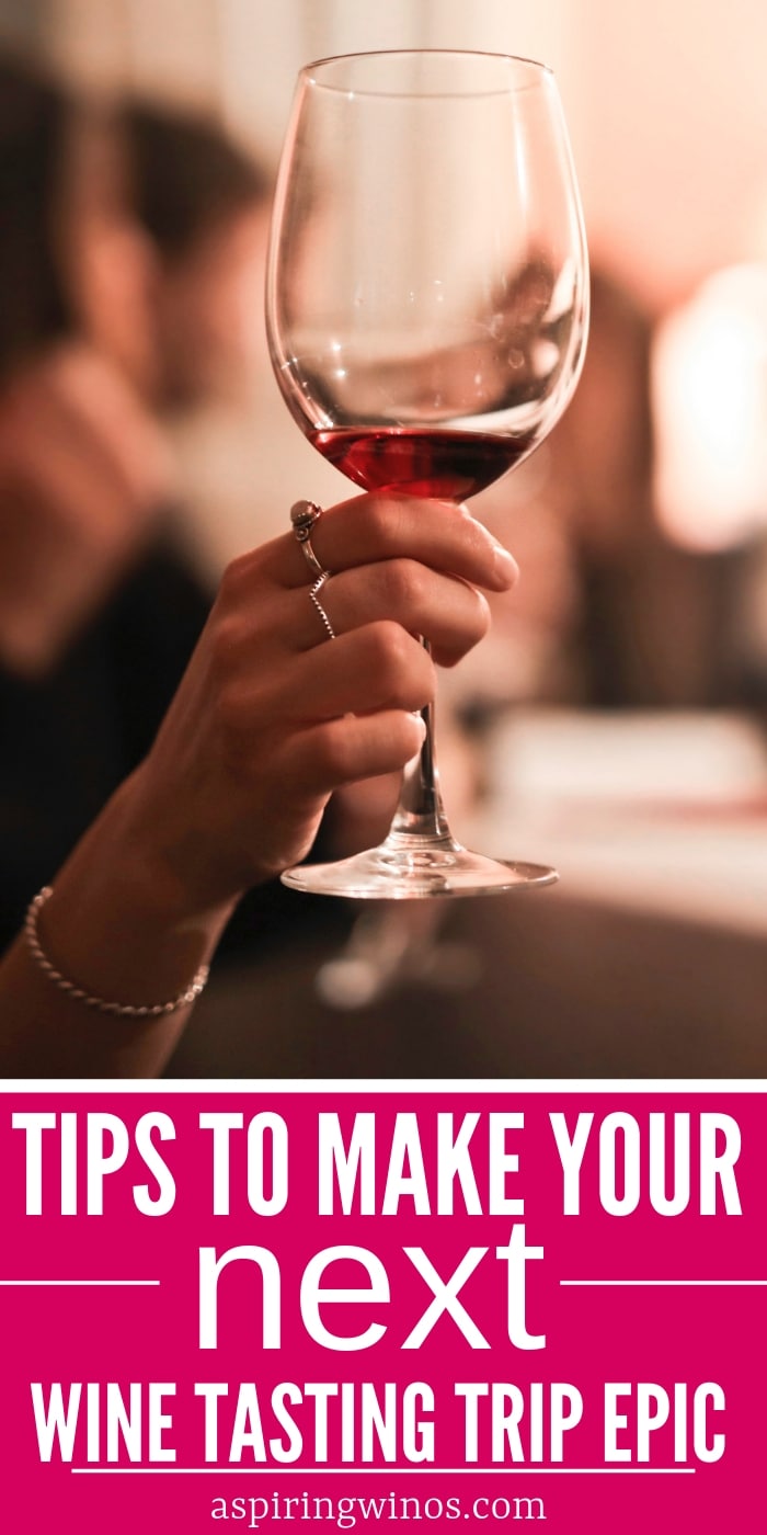 How to Make Your Wine Trip Unforgettable | How to have an amazing winery trip | Planning tips and tricks for wine tours | The things you really need to know in order to go wine tasting like a professional. #wine #travel #winetasting