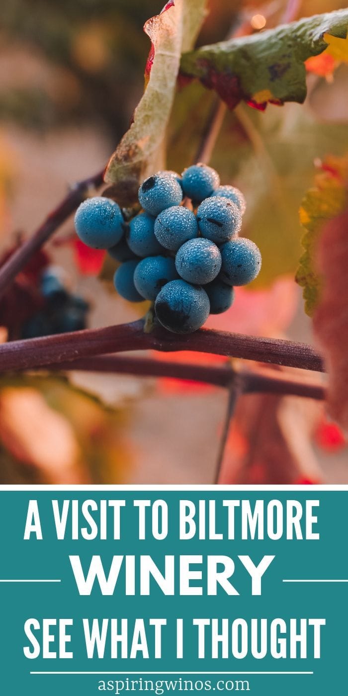 A Visit to Biltmore Winery | Take a Trip to Biltmore Winery | What You Can do at Biltmore Winery | Biltmore Winery Review | Biltmore Winery | #winetravel #wine #Biltmore