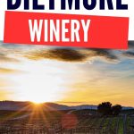 A Visit to Biltmore Winery | Take a Trip to Biltmore Winery | What You Can do at Biltmore Winery | Biltmore Winery Review | Biltmore Winery | #winetravel #wine #Biltmore