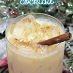Amaretto Cocktail Recipe | Eggnog Cocktail Recipe | Best Winter Cocktails | Seasonal Cocktails Recipes | Dessert Cocktail Recipes | #eggnog #recipe #cocktial #seasonal #christmas