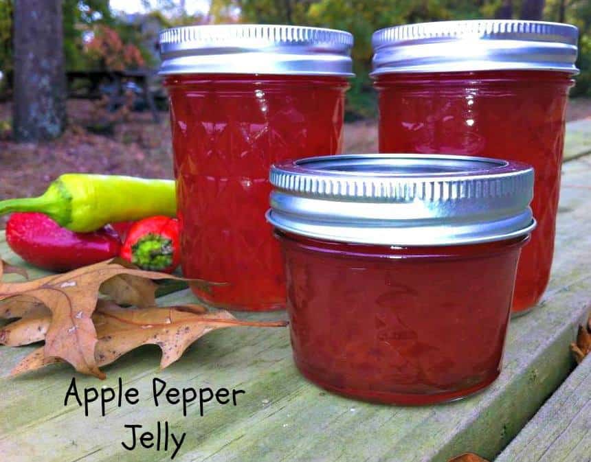 Delicious Jelly Recipes For Your Cheese Board - Apple Pepper Jelly Recipe