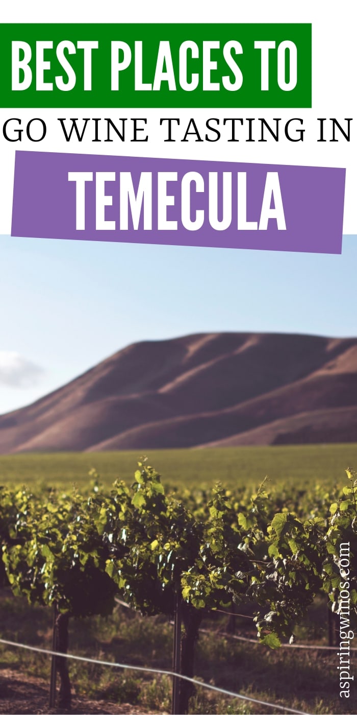 Where to Go Wine Tasting in Temecula | Wine Tasting in California | Wine Tasting in Temecula, California | Temecula Wine Tasting | Best Wine Tasting in Temecula | Wine Tasting Tour | Wine Tasting | #winetasting #wine #california #temecula #travel #winetravel