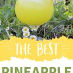 Tropical Pineapple Spritzer | Rum and Vodka Cocktail | Pineapple Cocktail | Tropical Pineapple Spritzer Recipe | Tropical Spritzer #TropicalPineappleSpritzer #TropicalSpritzer #RumVodkaCocktails #PineappleCocktail #TropicalPineappleSpritzerRecipe