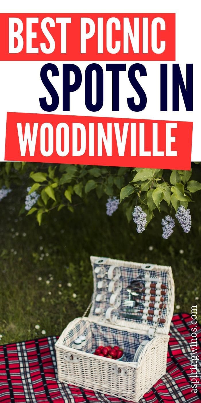 Places to Have a Picnic in Woodinville | Picnic and Wine in Woodinville | Places to Drink Wine and Have a Picnic | Romantic Picnic Spots in Woodinville | #picnic #wine #romance