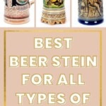 Best Beer Stein Mug for Beer Lovers | Beer Steins for Beer Lovers | Beer Lovers | The Best Beer Steins #BeerSteins #TheBestBeerSteins #BeerLovers #BeerSteinsForBeerLovers