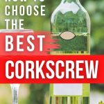 Best Wine Corkscrew | Best Corkscrew for Wine Bottles | Best Wine Opener | Best Lever Corkscrew | Automatic Corkscrew | How to Choose the Best Corkscrew | Wine Tools | Different Kinds of Corkscrews | #corkscrew #accessories #wine #cork #tools