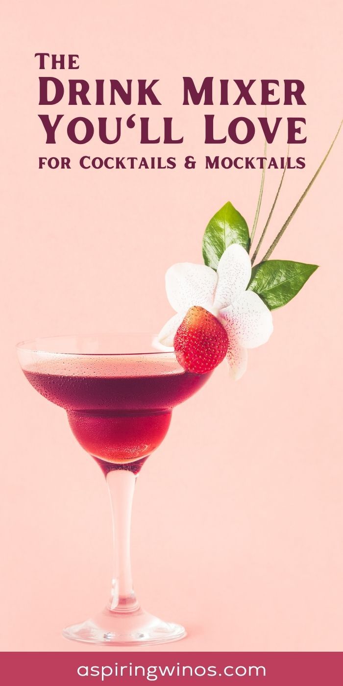 Best Drink Mixers for Cocktails and Mocktails Aspiring Winos