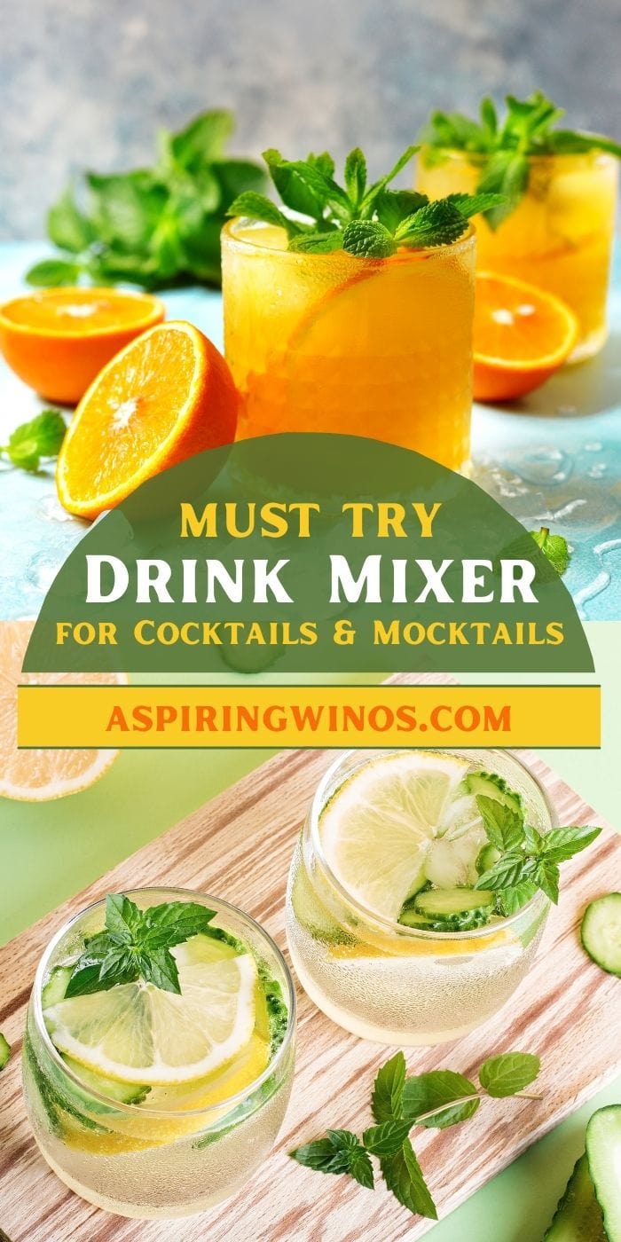 Best Drink Mixers for Cocktails and Mocktails Aspiring Winos