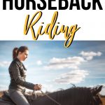 Best Wines to Take Horseback Riding | Wine and Horseback Riding | Can I drink Wine While Horseback Riding | Drinking and Riding a Horse | What Wines to Take Horseback Riding | #wine #horsebackriding #wineandhorses #fun