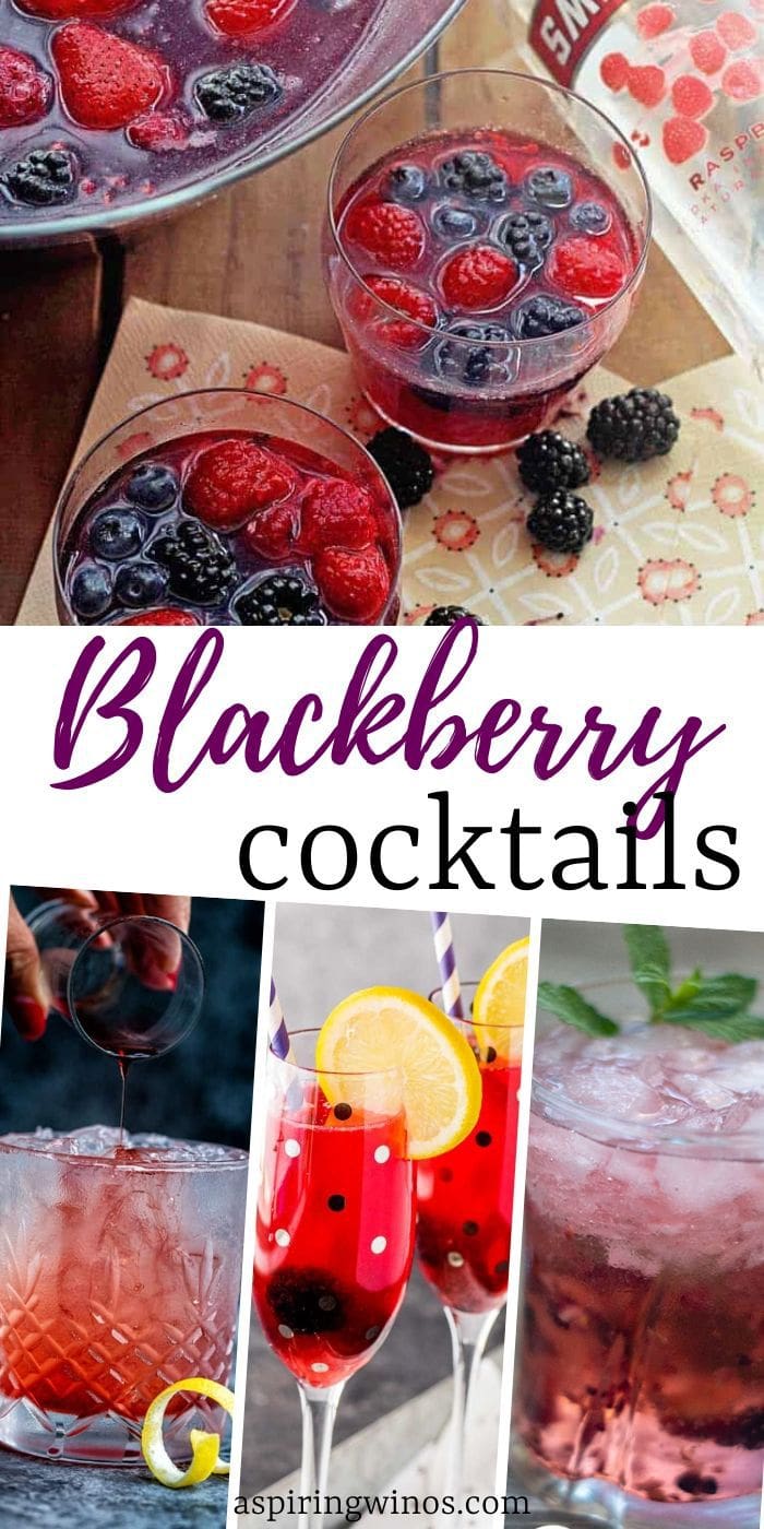 20 Blackberry Alcoholic Drinks | Fruity Cocktails Made with Real Fruit | Cocktails Made with Blackberries | Fruit Cocktails with Blackberries | Fruit and Alcohol | #blackberries #fruitcocktails #cocktails #recipe