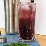 Blueberry Breeze Cocktail | Blueberry Breeze Cocktail Recipe You Need To Try | Malibu Rum Cocktail Recipes | Blueberry and Mint Cocktail Ideas | Cocktails you need for this summer #Cocktails #Recipe #MalibuRum #Blueberry #BlueberryBreeze #Mint