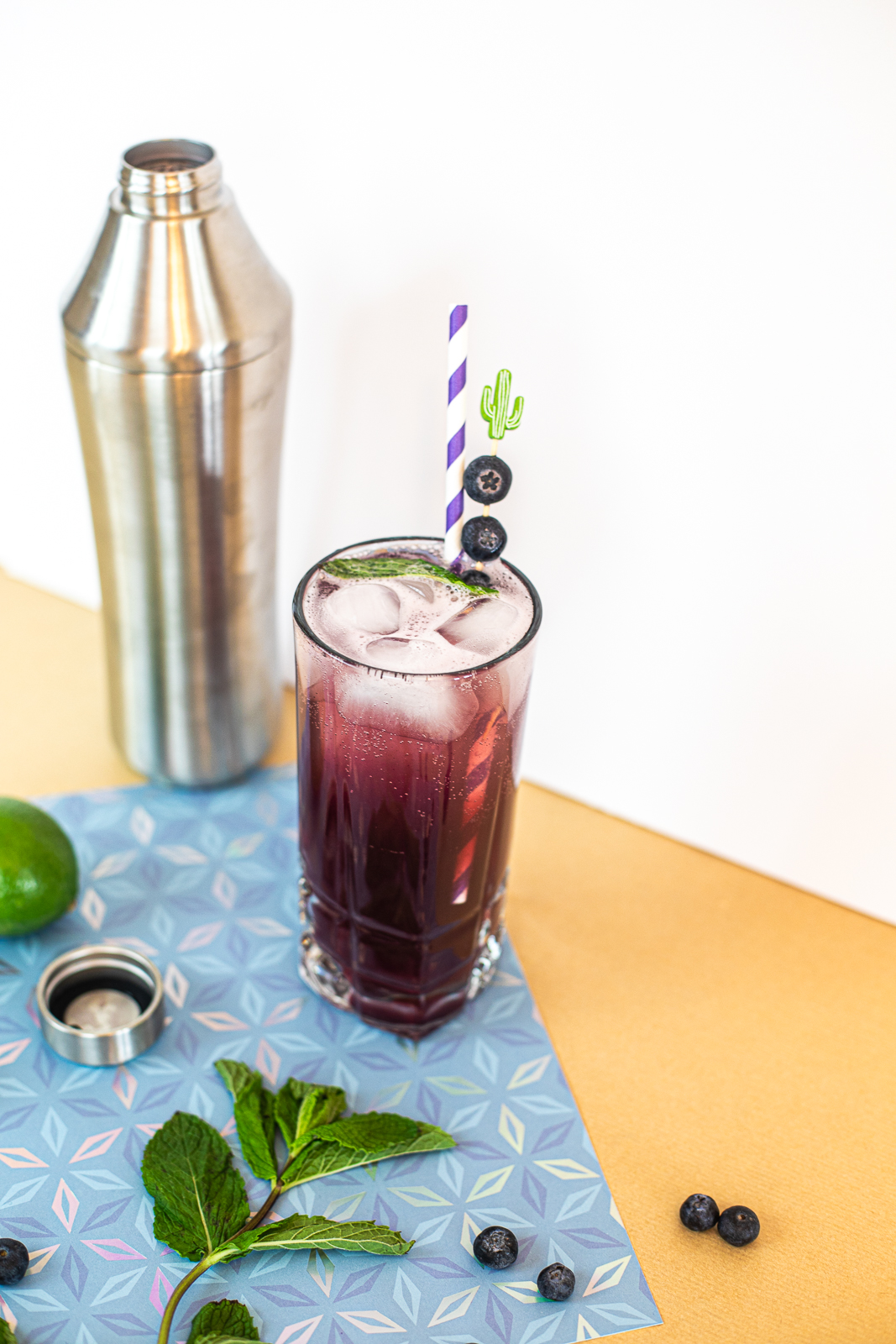 Blueberry Breeze Cocktail with blueberries and mint as garnish. 