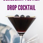 Blueberry Flower Drop Cocktail | Elderflower Liqueur Cocktail Recipe | Vodka cocktail recipe | Blueberry Cocktail | Summer cocktail ideas | Unique cocktail ideas you will love #ElderflowerLiqueur #Vodka #Blueberry #Cocktails #CocktailRecipe #VodkaCocktails