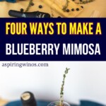 Blueberry Mimosas | Blueberry Mimosas: Four Unique Recipes To Try | Blueberry Lemonade Mimosa | Blueberry Lavender Mimosa | Blueberry Thyme Mimosa | Easy to make Mimosas for your next brunch #Mimosas #Blueberry #BlueberryMimosas #ThymeMimosa #LavenderMimosa #LemonadeMimosa #CocktailRecipes