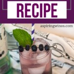Blueberry Mojito Cocktail | How to make a Blueberry Mojito Cocktail | Unique Mojito Cocktail Recipe | White rum cocktail recipes | Blueberry cocktail recipes #WhiteRum #Blueberry #BluerryMojito #Mojito #Cocktail #Recipe