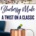 Blueberry Mule Cocktail: A Unique Twist on a Classic | Moscow Mule recipes you need to try | Blueberry cocktail recipe | Copper mug drink recipes | Summer drink recipes for everyone #Blueberry #MoscowMule #BlueberryMuleCocktail #Cocktail #CocktailRecipe #Vodka #VodkaRecipes