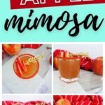 Caramel Apple Mimosa Recipe | Mimosa Cocktails | Apple Fall Drinks | Fall Caramel Apple Drinks | The Best Holiday Cocktail Recipes | #mimosa #fall #cocktail #apple #recipe