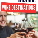 Wineries to Visit in Central Indiana | Wineries to Visit in Indiana | Are there Wineries in Indiana | Where to Go Wine Tasting in Indiana | Indiana Wine Tasting | #wineries #winetravel #morethancorninindiana #travel