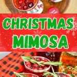 Make The Season Extra Merry with a Christmas Mimosa | Christmas Mimosa | Christmas Cocktails | Must try Christmas Mimosa | Get festive with this easy to make Christmas Mimosa #ChristmasMimosa #Christmas #Mimosa #ChristmasCocktail #Recipe #FestiveDrink