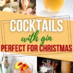 Christmas Cocktails | Gin Cocktail Recipes | Gin Christmas Cocktails | Pumpkin Pie Cocktail | Rosemary Cocktail | Pomegranate Cocktail | Cranberry Cocktail | Flavored Gin Cocktails | Holiday Cocktails | Christmas Drink Recipes | #Christmas #gin #holidays #booze #recipes #diy