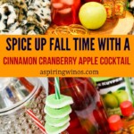 Cinnamon Cranberry Apple Cocktail | Spice up Fall Time with a Cinnamon Cranberry Apple Cocktail | Fall Themed Cocktails you must try | Spicy, sweet, and tart cocktail recipe | Fireball whisky Cocktail Recipe | Apple cocktail recipe #Cinnamon #Cranberry #Apple #FireBallWhisky #Cocktail #CocktailRecipe #FallCocktailIdea #FallCocktail