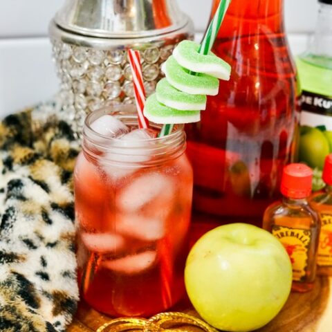 Cinnamon Cranberry Apple Cocktail
