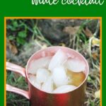 Moscow Mule Apple Cider Recipe | Fall Cocktail Recipe | Apple Cider Mule | Ginger Beer Mule Recipe | Apple Cider Rum Recipe | Fall Rum Cocktails | Fall Cocktails Recipes | #rum #mule #cider #cocktail #fall