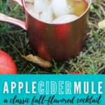 Moscow Mule Apple Cider Recipe | Fall Cocktail Recipe | Apple Cider Mule | Ginger Beer Mule Recipe | Apple Cider Rum Recipe | Fall Rum Cocktails | Fall Cocktails Recipes | #rum #mule #cider #cocktail #fall