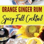 Orange Ginger Rum Spicy Fall Cocktail | Fall Themed Cocktail Recipes | Spiced Rum Cocktails | Ginger Cocktails | Cocktail Recipes #OrangeGingerRumSpicyFallCocktail #FallCocktailes #SpicedRum #GingerCocktails #CocktailRecipes