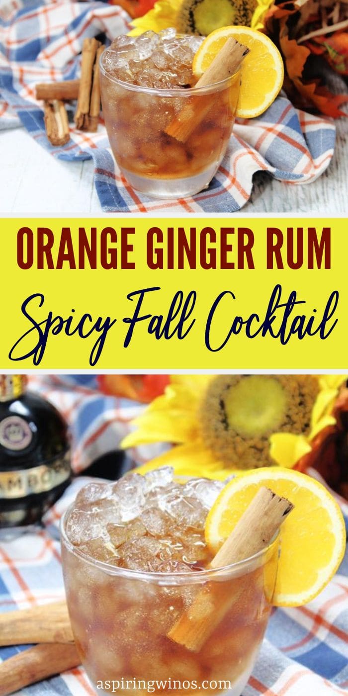 Orange Ginger Rum Spicy Fall Cocktail - Aspiring Winos