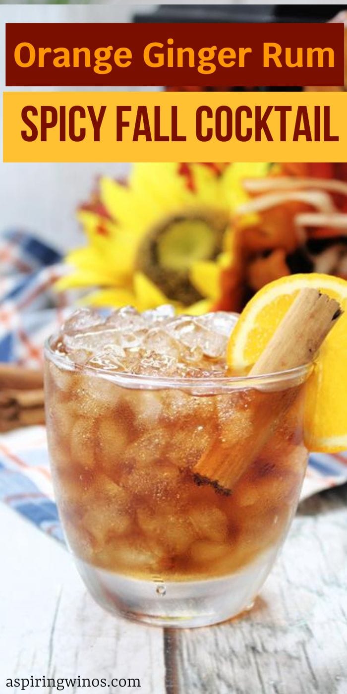 Orange Ginger Rum Spicy Fall Cocktail - Aspiring Winos