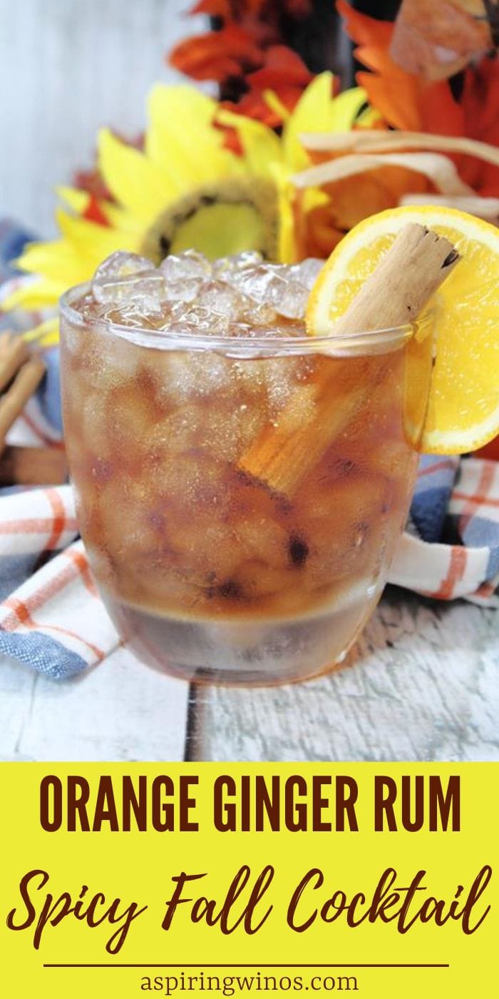 Orange Ginger Rum Spicy Fall Cocktail - Aspiring Winos
