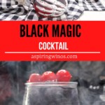 Black Magic Cocktail | Premium Black Vodka Cocktail | Halloween Cocktail Ideas | Vodka Cocktail Recipes | Cocktail Recipes #BlackVodka #HalloweenCocktails #VodkaCocktails #CocktailRecipes #BlackMagicCocktail