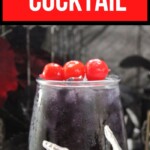 Black Magic Cocktail | Premium Black Vodka Cocktail | Halloween Cocktail Ideas | Vodka Cocktail Recipes | Cocktail Recipes #BlackVodka #HalloweenCocktails #VodkaCocktails #CocktailRecipes #BlackMagicCocktail