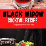 Black Widow Cocktail Recipe | Black Vodka Cocktail Recipe | Halloween Cocktail Recipes | Spooky Cocktails | Spiced Rum Cocktails #BlackWidowCocktailRecipe #BlackWidow #BlackVodka #SpicedRum #HalloweenCocktails #SpookyCocktails