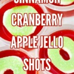 How to Make Cinnamon Cranberry Apple Jello Shots | Jello Shot Recipe | Fireball Whisky Jello Shots | Cinnamon Cranberry Apple | Fun jello shots for your next party #Cinnamon #Cranberry #Apple #JelloShots #JelloShotRecipe #FireBallWhisky #PartyShots