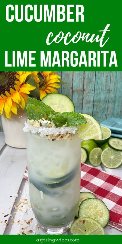 Cucumber Coconut Lime Margarita | Tequila Margarita | Coconut and Lime Margaritas | Tropical Margarita | Cucumber Drinks #CucumberCoconutLimeMargarita #Margarita #Tequila #TropicalMargarita #AspiringWinos