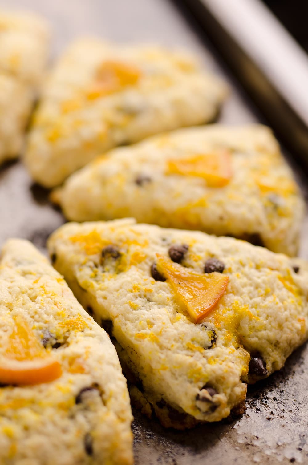 Dark Chocolate and Orange Scones