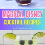 Cheers to the Happiest Cocktails on Earth: Disney Inspired Recipes | Disney Themed Cocktails | Cocktail Recipes | Disney Character Cocktail Recipes | Disney Movie Cocktail Recipes | Disney Theme Park Cocktail Recipes #Cocktails #Disney #DisneyCocktails #DisneyCocktailRecipes #DisneyThemedDrinks