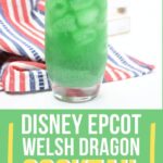 Disney Epcot Welsh Dragon Cocktail Copycat | Disney Epcot | Welsh Dragon Cocktail | Disney Themed Cocktails | Copycat Cocktails #Disney #DisneyCocktails #DisneyEpcot #WelshDragonCocktail #DisneyEpcotDragonCocktail #CocktailRecipe