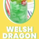 Disney Epcot Welsh Dragon Cocktail Copycat | Disney Epcot | Welsh Dragon Cocktail | Disney Themed Cocktails | Copycat Cocktails #Disney #DisneyCocktails #DisneyEpcot #WelshDragonCocktail #DisneyEpcotDragonCocktail #CocktailRecipe
