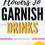 Edible Flowers to Garnish Drinks | How to Garnish Drinks with Flowers | Best Flowers to Use in Cocktails | Edible Flowers for Cocktails | Garnish Drinks with Edible Flowers | #edibleflowers #cocktails #drinks