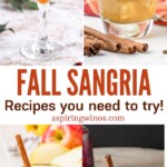 Fall in Love with these Amazing Fall Sangria Recipes | Fall sangria Recipes | Must try fall themed sangria recipes | Sangria recipes | Must try fall sangria recipes #Sangria #Fall #FallSangria #Recipes #SangriaRecipes #MustTry